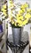 Enhance Your Decor with Set of 3 Galvanized Vases/French Buckets